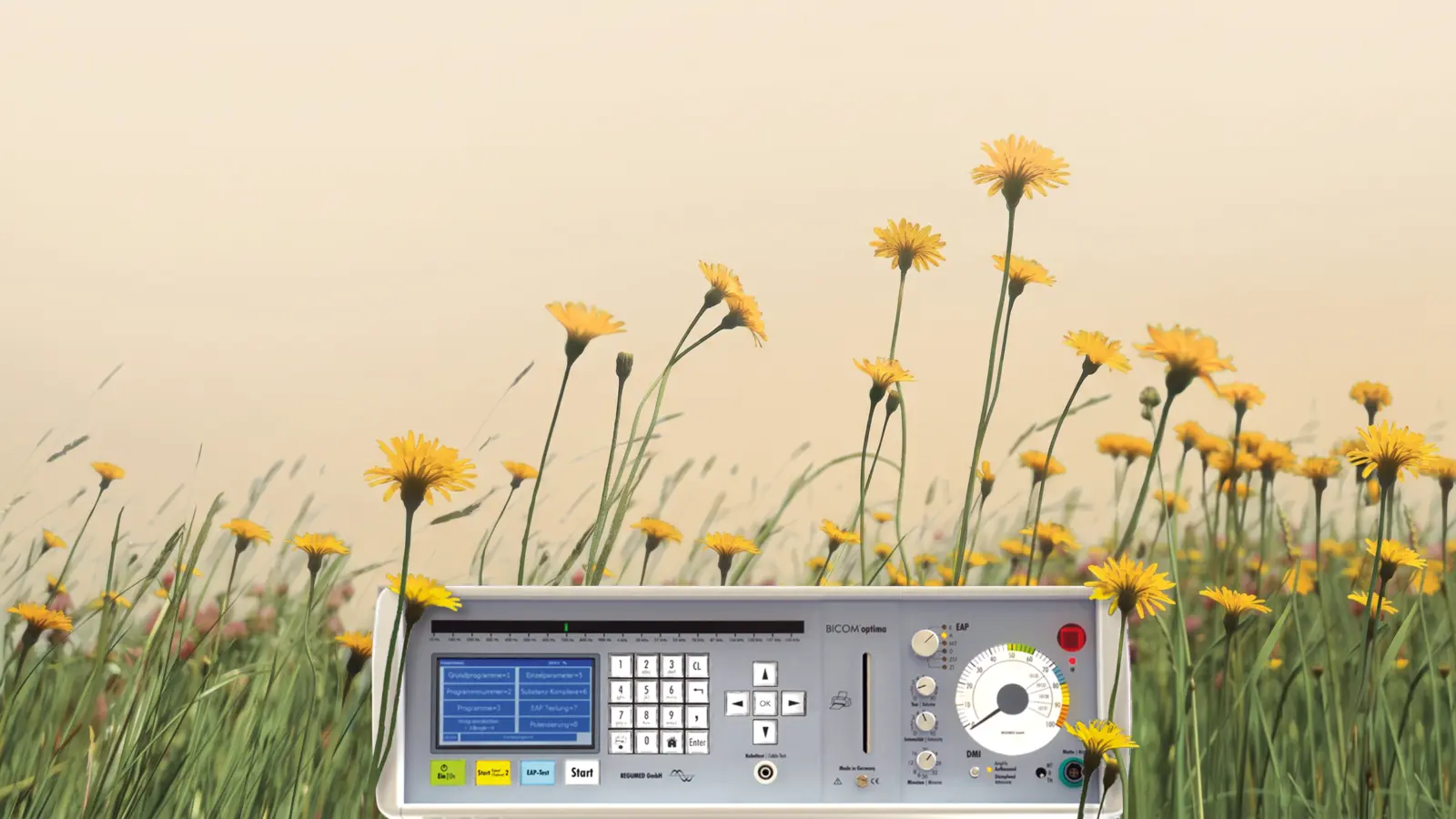 BICOM optima Bioresonanz-Gerät zwischen gelben Wiesenblumen vor hellem Himmel