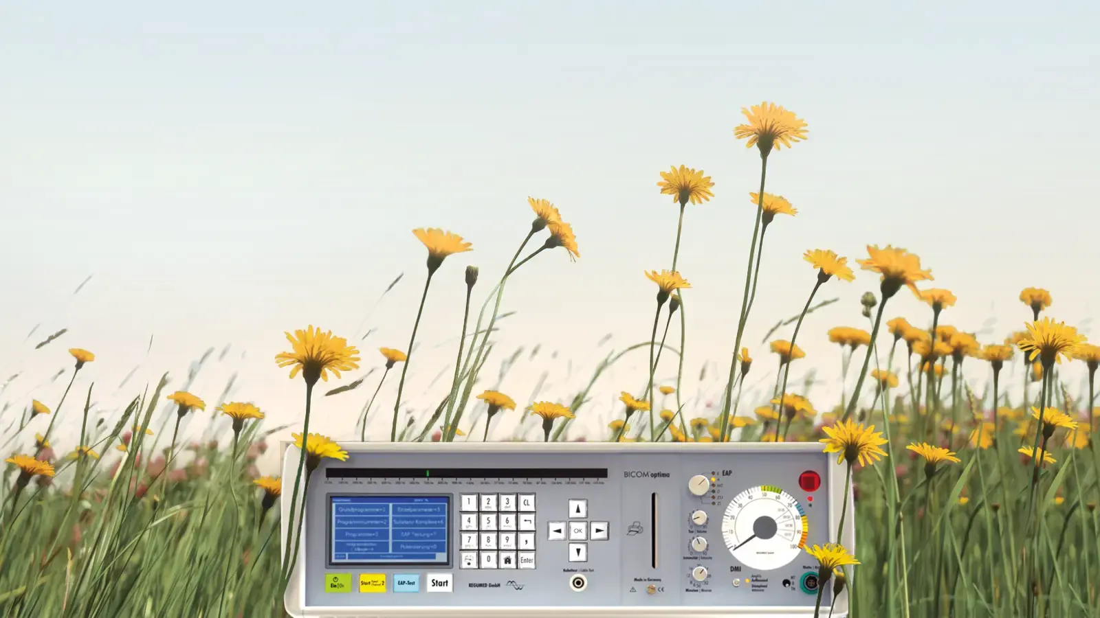 Naturheilkunde in Forstern: BICOM optima Bioresonanz-Gerät zwischen gelben Wiesenblumen
